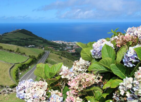 פלורס flores האיים האזוריים azores